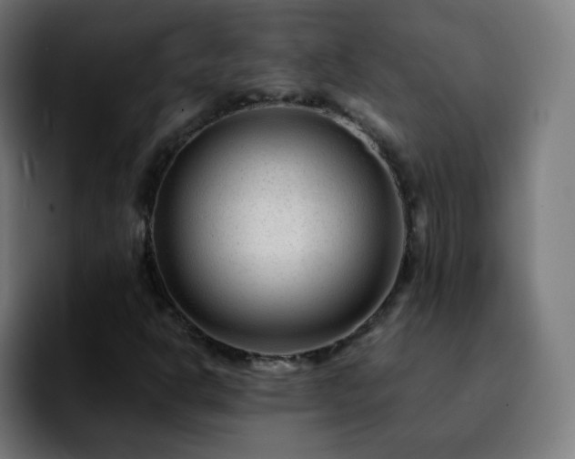 X0000092231302200709211018
