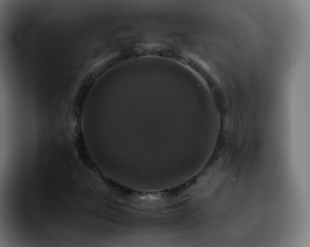 X0000092231303200709211018