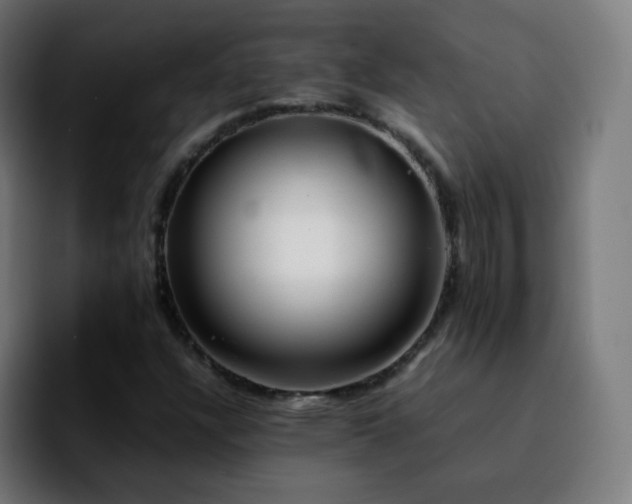 X0000092231304200709211018