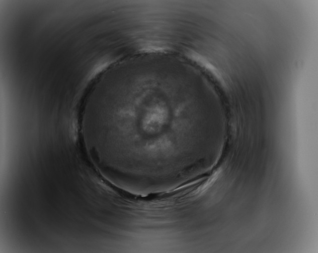 X0000092231306200709211018