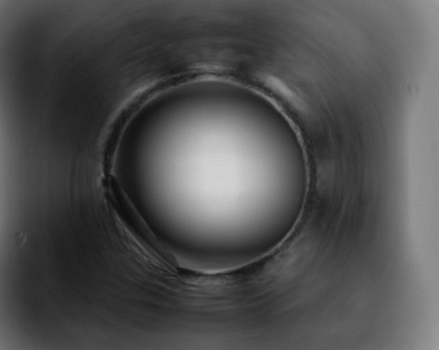 X0000092231307200709211018