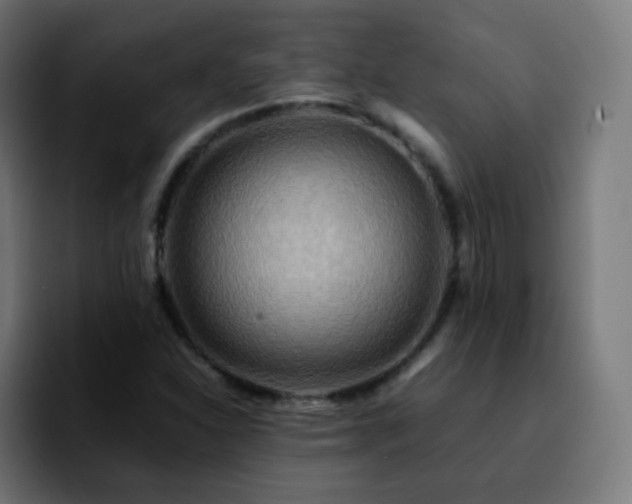 X0000092231310200709211018