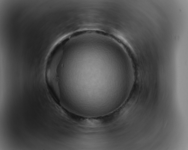 X0000092231312200709211018