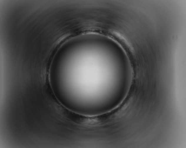 X0000092231313200709211018