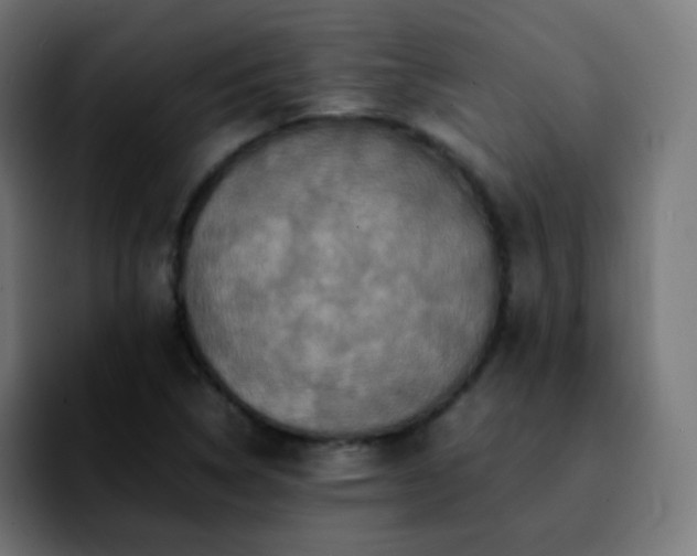 X0000092231314200709211018
