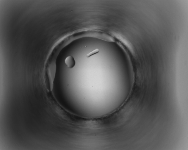 X0000092231316200709211018