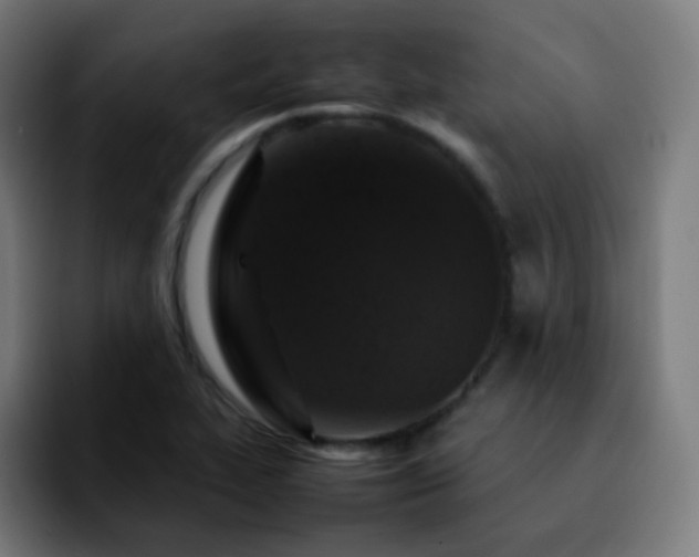 X0000092231319200709211018