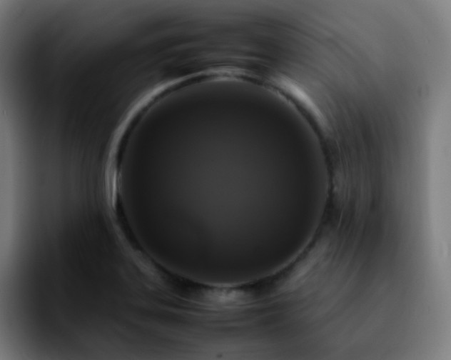 X0000092231323200709211018