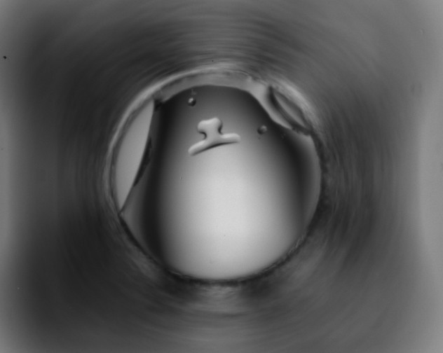 X0000092231324200709211018