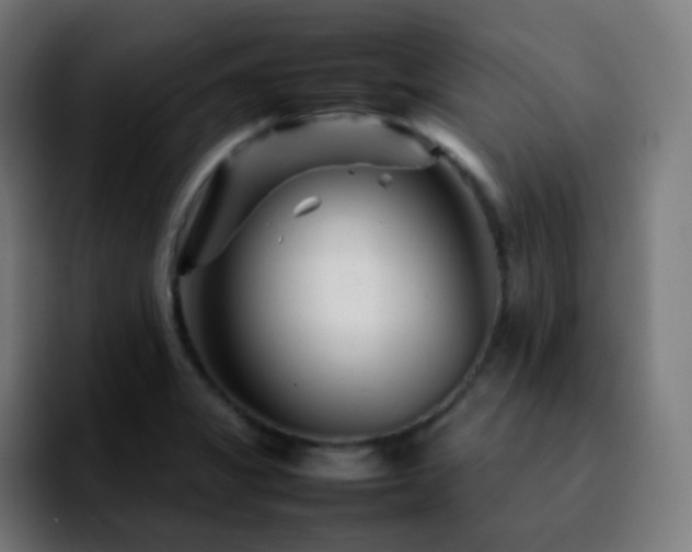 X0000092231325200709211018