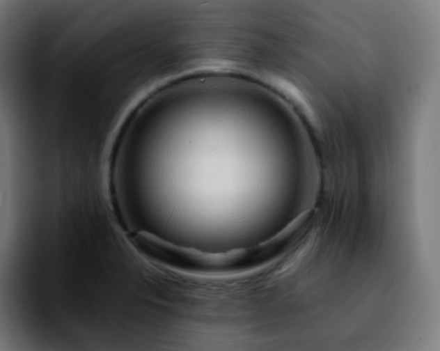 X0000092231326200709211018