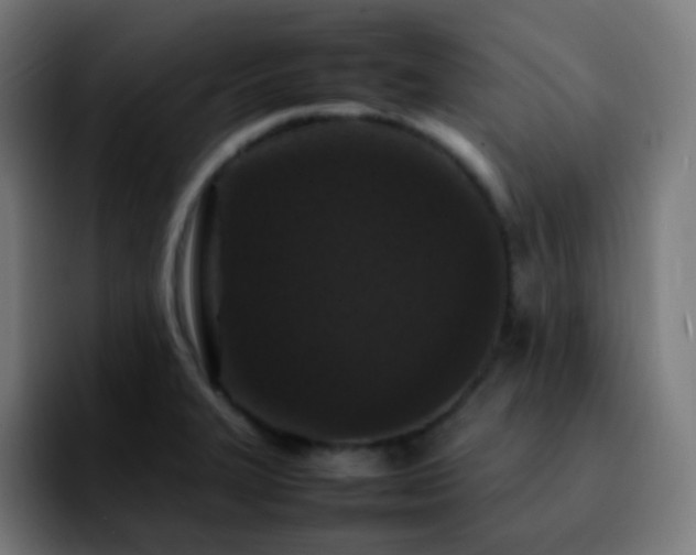 X0000092231327200709211018