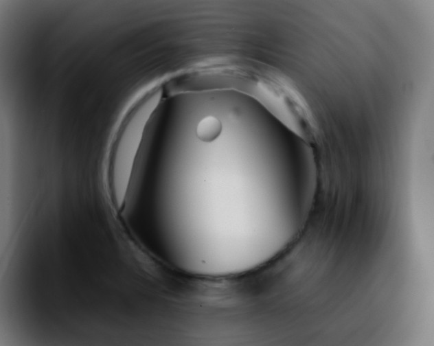 X0000092231328200709211018