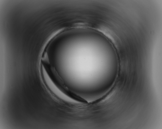 X0000092231333200709211019