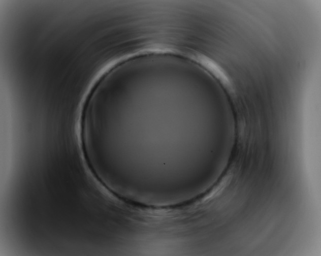 X0000092231334200709211019