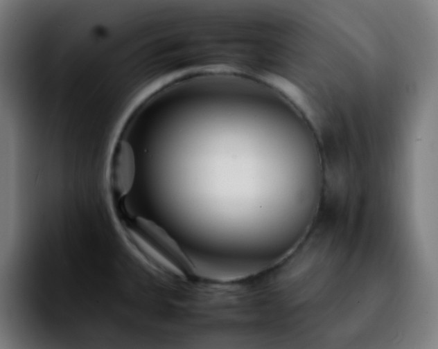 X0000092231335200709211019