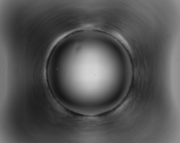 X0000092231336200709211019