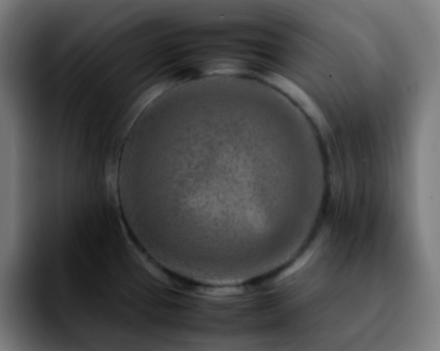 X0000092231337200709211019