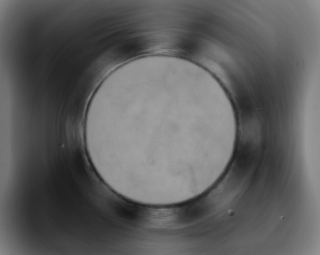 X0000092231338200709211019