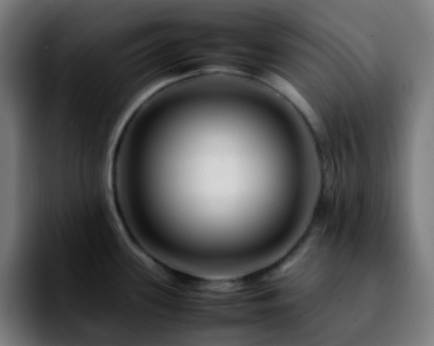 X0000092231339200709211019