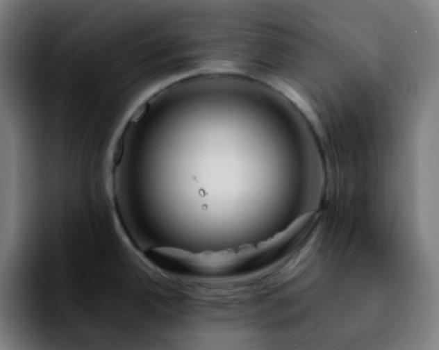 X0000092231342200709211019
