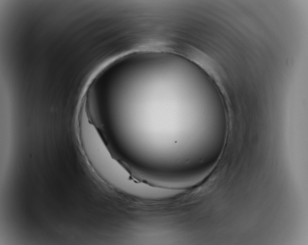 X0000092231344200709211019