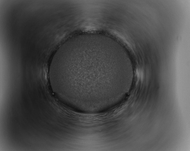 X0000092231348200709211018