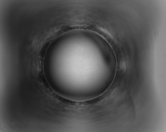 X0000092231350200709211018