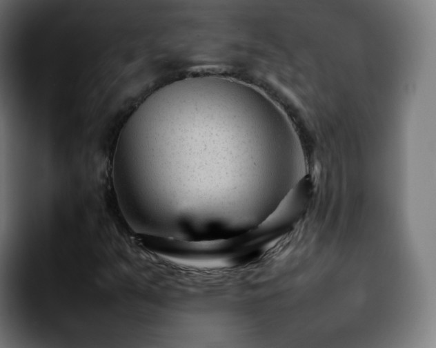 X0000092231351200709211018