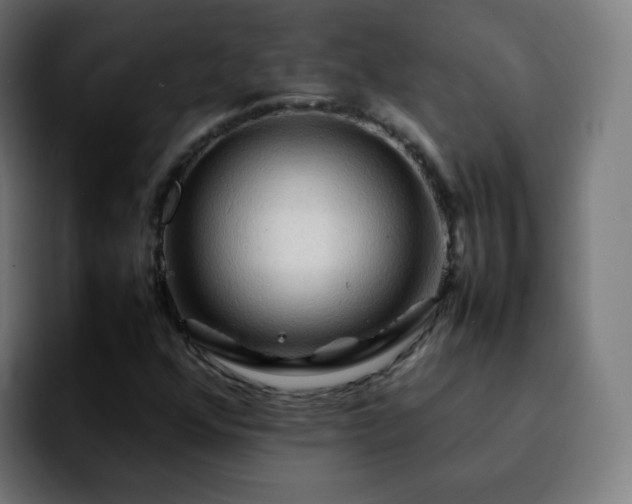 X0000092231352200709211018