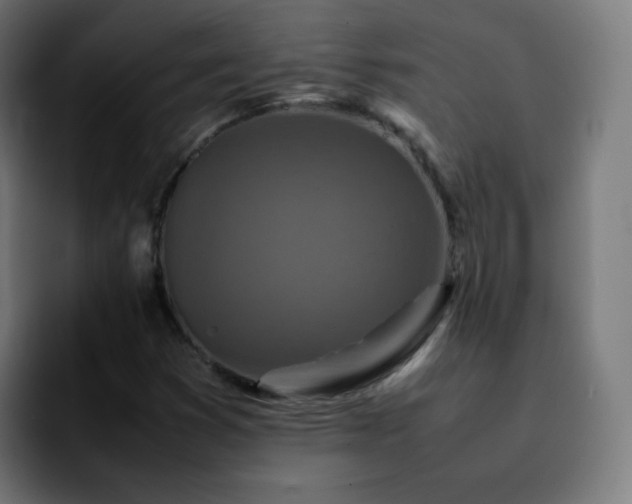 X0000092231353200709211018
