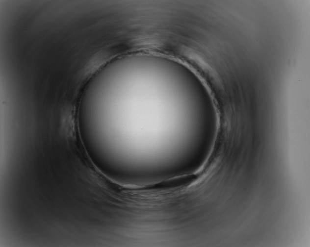 X0000092231354200709211018