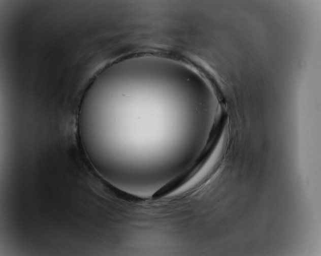 X0000092231355200709211018