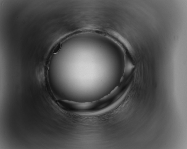 X0000092231356200709211018