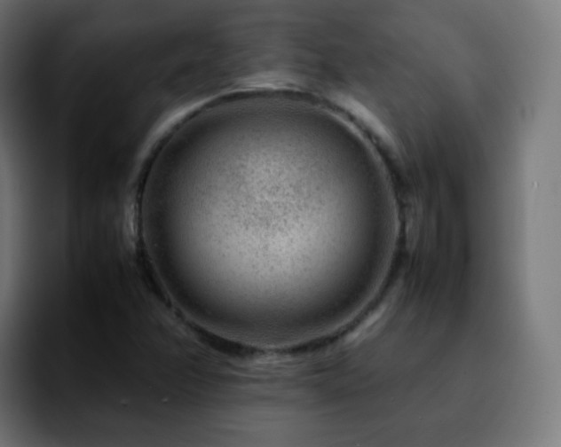 X0000092231358200709211018