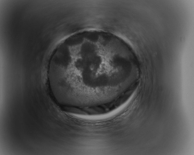 X0000092231359200709211018