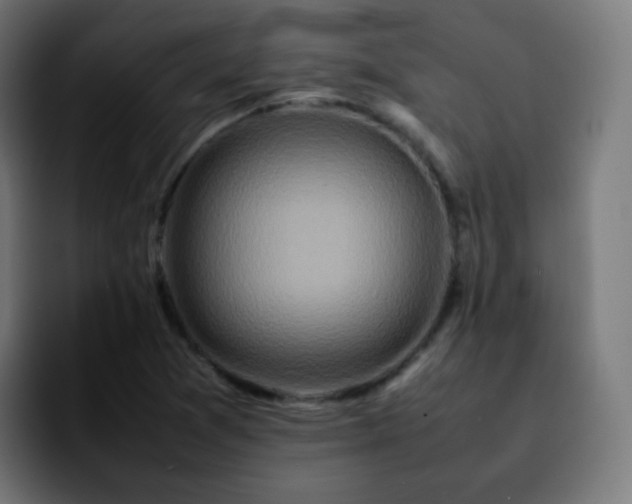 X0000092231361200709211018