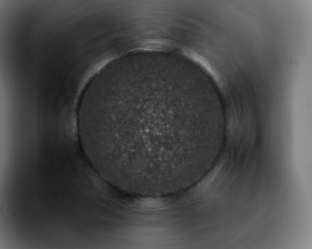 X0000092231362200709211018