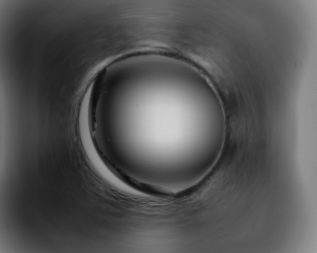 X0000092231363200709211018