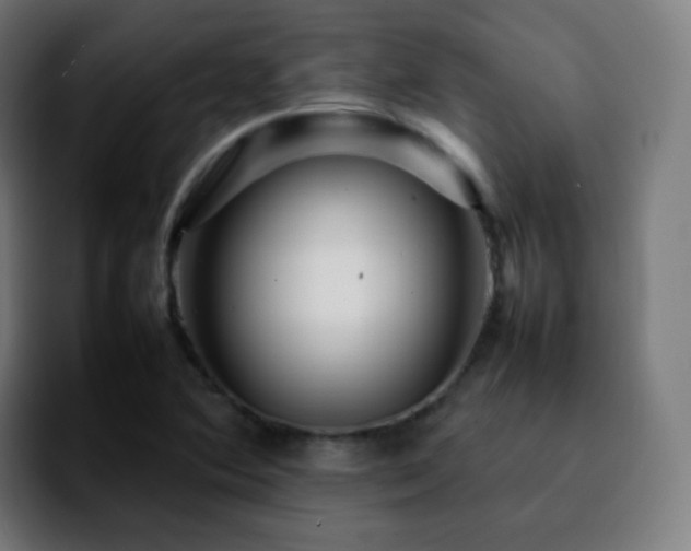 X0000092231364200709211018