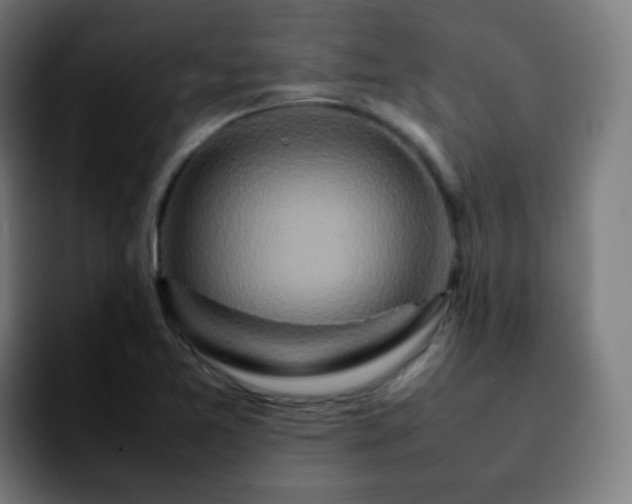 X0000092231365200709211018