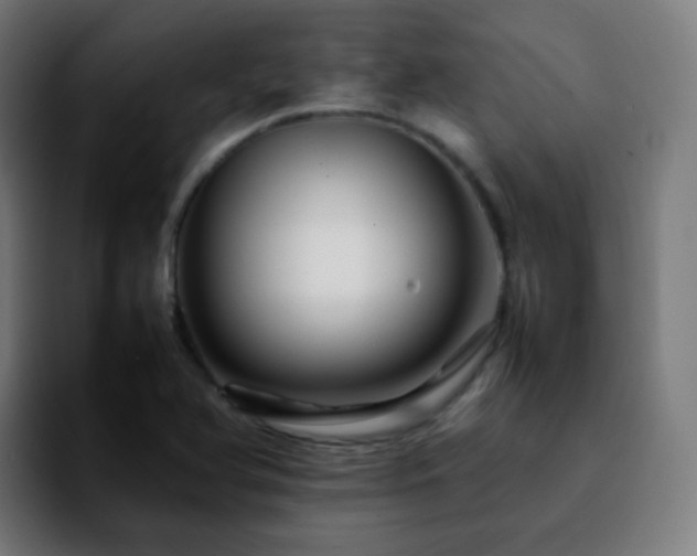X0000092231366200709211018