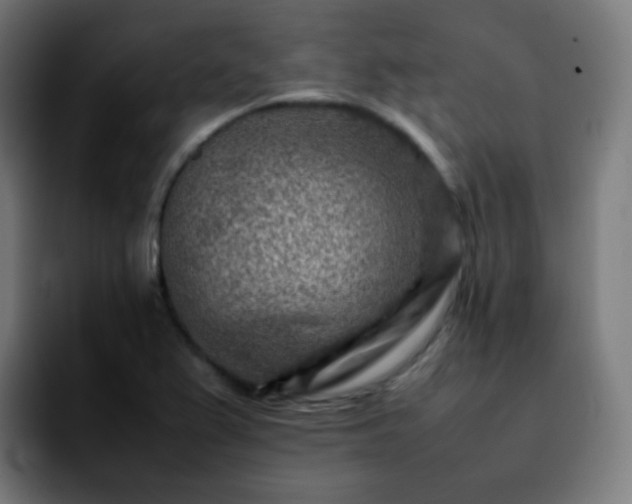 X0000092231367200709211018