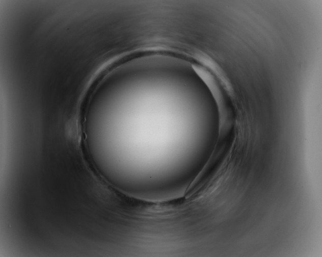 X0000092231368200709211018