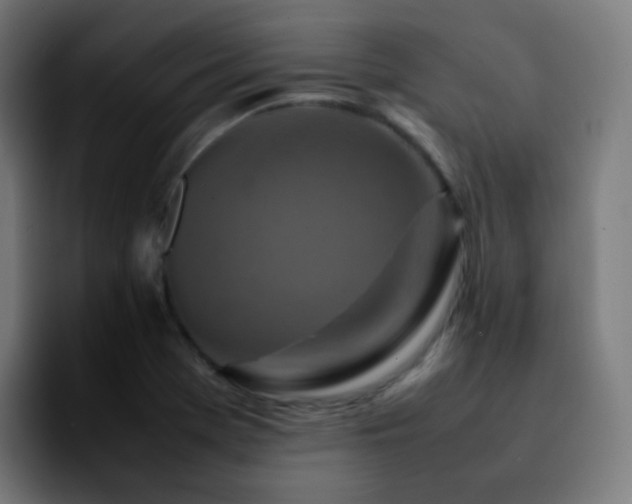 X0000092231369200709211018