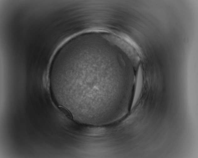 X0000092231372200709211018