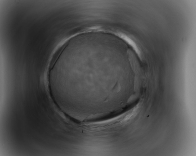 X0000092231373200709211018
