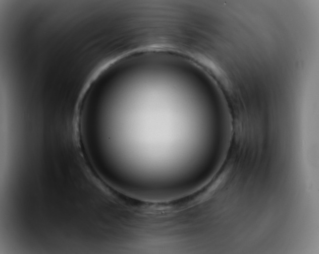 X0000092231374200709211018