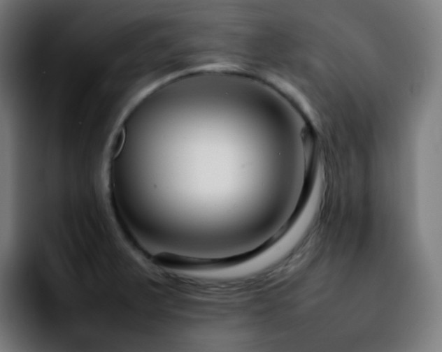 X0000092231375200709211018