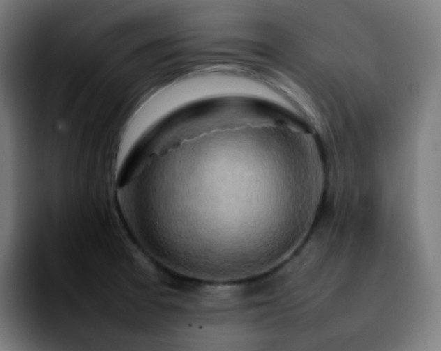X0000092231377200709211018